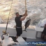 Yellowfin Tuna Yellowfin Tuna