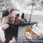 Let the bluefin hit the deck Let the bluefin hit the deck