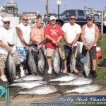 Nice Yellowfin Tuna Catch Nice Yellowfin Tuna Catch
