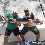 White Marlin Ready to be released White Marlin Ready to be released