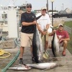 Bluefin Yellowfin, Mahi Bluefin Yellowfin, Mahi