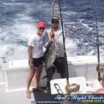 Yellowfin Tuna going on ice Yellowfin Tuna going on ice
