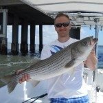 Nice Rockfish Nice Rockfish