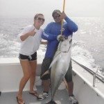 Relaly Nice Yellowfin Tuna Relaly Nice Yellowfin Tuna
