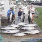 Yellowfin Success Yellowfin Success