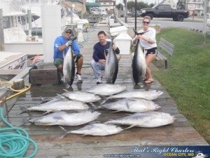 Yellowfin Success