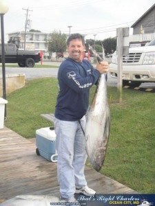 All Smiles Yellowfin Tuna