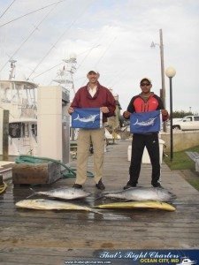 Royal Slam White Marlin